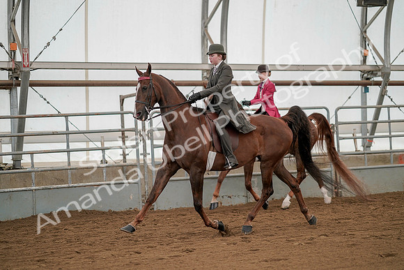 July 20, 2019 - 02204