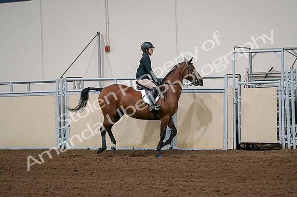 2020 - AB Morgan Horse - Fri, Sept 04 - 02095