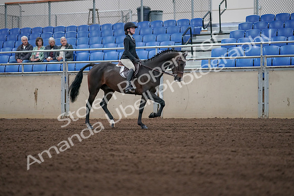 2019 Morgan Horse Show - Sept 01, 2019 - 03929
