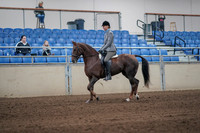 2019 Morgan Horse Show - Sept 01, 2019 - 06217