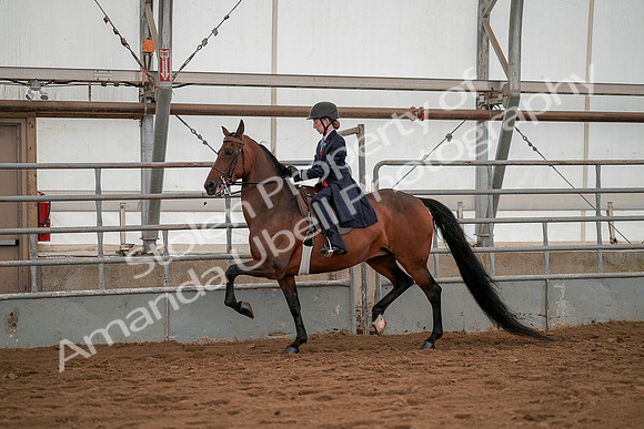 July 19, 2019 - 3798