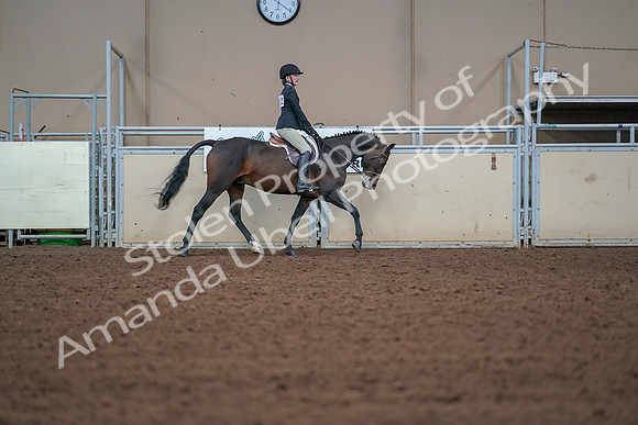 2019 Morgan Horse Show - Aug 30, 2019 - 20691
