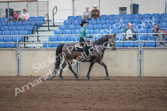 2019 Morgan Horse Show - Sept 01, 2019 - 07111