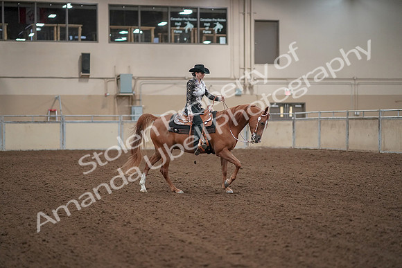 2019 Morgan Horse Show - Aug 30, 2019 - 26215