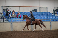 2019 Morgan Horse Show - Aug 30, 2019 - 26487