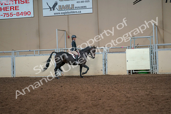 2019 Morgan Horse Show - Aug 30, 2019 - 12354