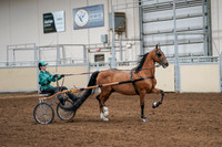 2020 - AB Morgan Horse - Sat, Sept 05 - 12446