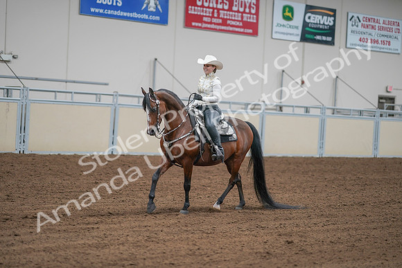 2020 - AB Morgan Horse - Sat, Sept 05 - 09026