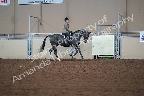 2019 Morgan Horse Show - Aug 30, 2019 - 20720