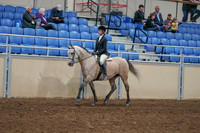 2020 - AB Morgan Horse - Sat, Sept 05 - 01182