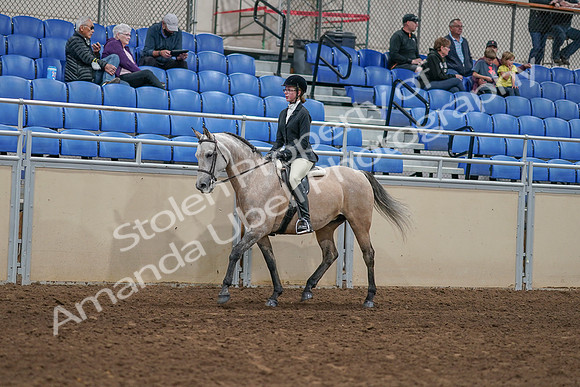 2020 - AB Morgan Horse - Sat, Sept 05 - 01182