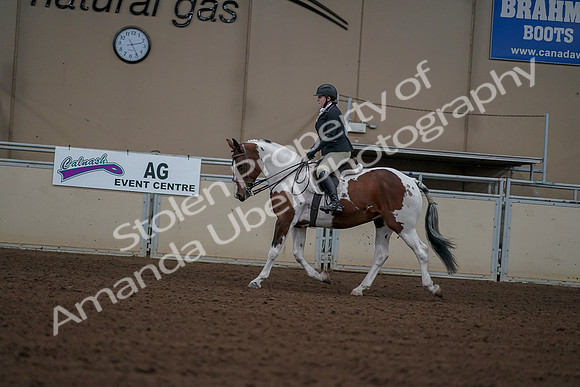2019 Morgan Horse Show - Aug 30, 2019 - 14909