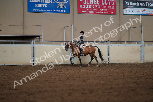 2019 Morgan Horse Show - Aug 30, 2019 - 23268