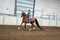 2020 - AB Morgan Horse - Sat, Sept 05 - 12078