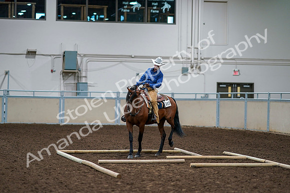 2020 - AB Morgan Horse - Fri, Sept 04 - 00267