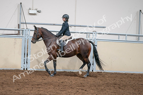 2020 - AB Morgan Horse - Sat, Sept 05 - 04975