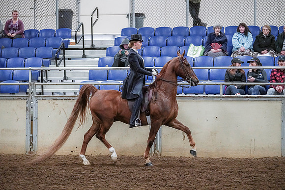 Spring Fling - Saturday - April 20, 2019  -  04424