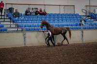 Class 076 - All Breed Showmanship Any Age Assisted