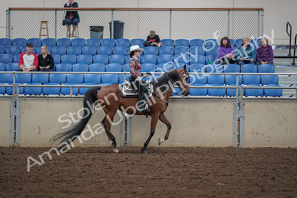 2019 Morgan Horse Show - Aug 30, 2019 - 26206