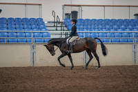 2019 Morgan Horse Show - Aug 31, 2019 - 06315