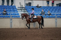 2019 Morgan Horse Show - Sept 01, 2019 - 06767