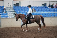2019 Morgan Horse Show - Aug 31, 2019 - 14113
