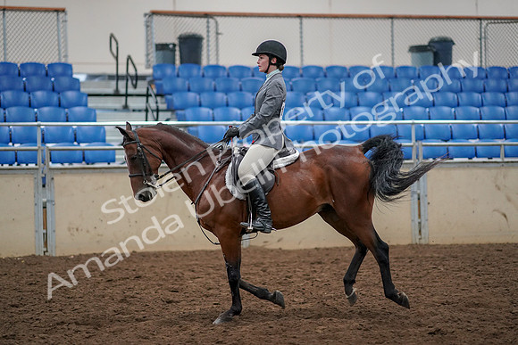 2019 Morgan Horse Show - Aug 30, 2019 - 23458