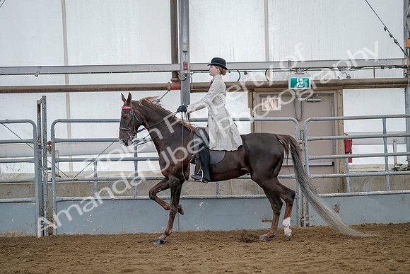 July 20, 2019 - 14675