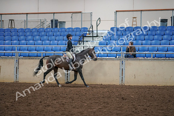 2019 Morgan Horse Show - Aug 30, 2019 - 12426