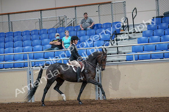 2020 - AB Morgan Horse - Fri, Sept 04 - 06037