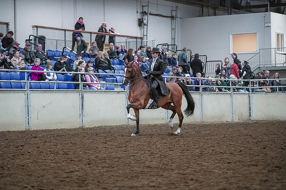 Spring Fling - Saturday - April 20, 2019  -  00655