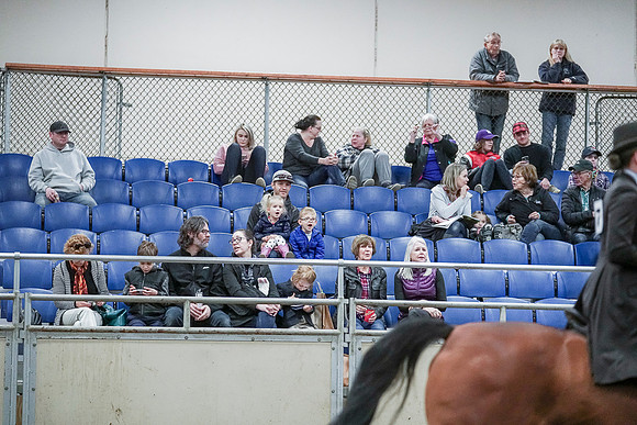 Spring Fling - Saturday - April 20, 2019  -  00826