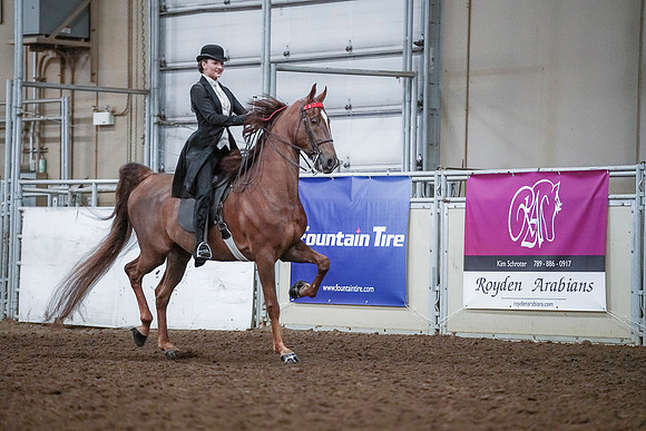 Spring Fling - Saturday - April 20, 2019  -  00522