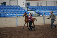 2019 Morgan Horse Show - Aug 31, 2019 - 00377