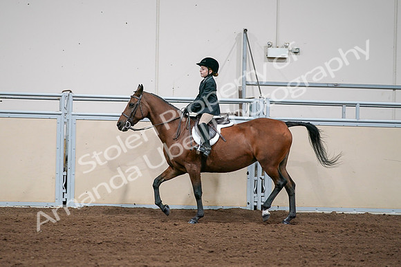 2020 - AB Morgan Horse - Fri, Sept 04 - 02068