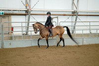 Class 099 - All Breed Hunter Pleasure - Limit Rider