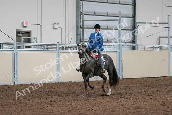 2020 - AB Morgan Horse - Sat, Sept 05 - 05228