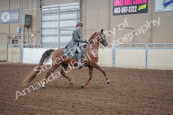 2019 Morgan Horse Show - Aug 30, 2019 - 15641