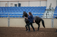2019 Morgan Horse Show - Aug 31, 2019 - 00508