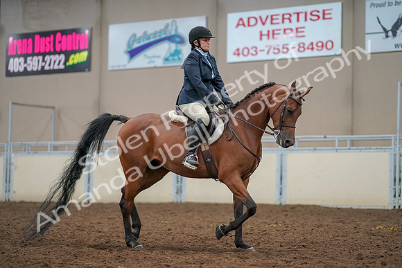 2019 Morgan Horse Show - Aug 30, 2019 - 22598