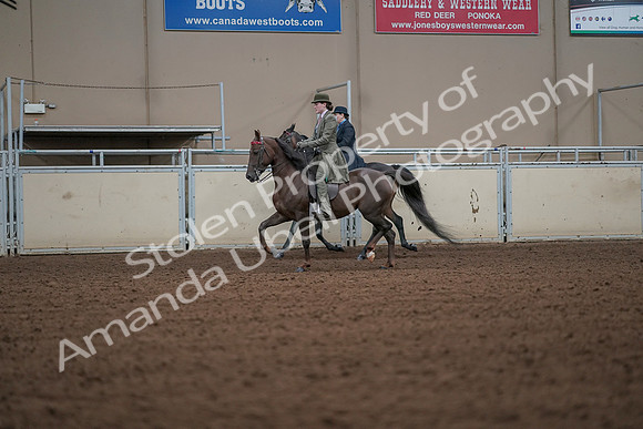 2019 Morgan Horse Show - Aug 30, 2019 - 15469