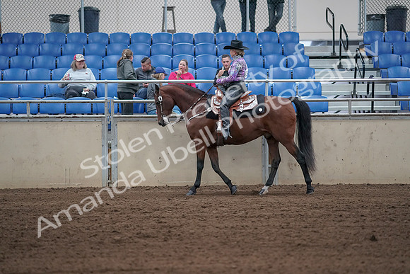 2019 Morgan Horse Show - Sept 01, 2019 - 06780