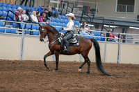 2020 - AB Morgan Horse - Sun, Sept 06 - 07459