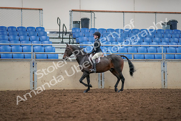 2019 Morgan Horse Show - Aug 30, 2019 - 23122