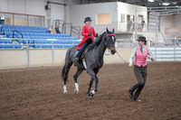 2019 Morgan Horse Show - Sept 01, 2019 - 10678