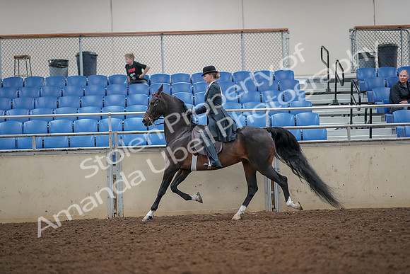 2019 Morgan Horse Show - Aug 30, 2019 - 25111