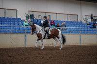 2019 Morgan Horse Show - Aug 30, 2019 - 14850