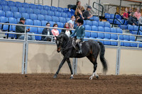 2020 - AB Morgan Horse - Fri, Sept 04 - 07728