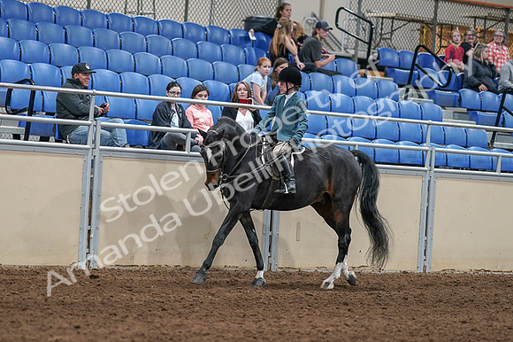 2020 - AB Morgan Horse - Fri, Sept 04 - 07728