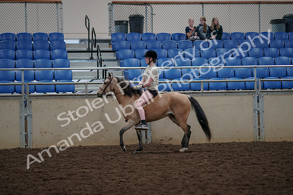 2019 Morgan Horse Show - Aug 30, 2019 - 31073